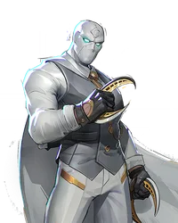 MISTER KNIGHT