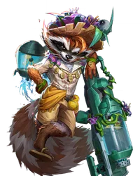 SUNSHINE RACCOON